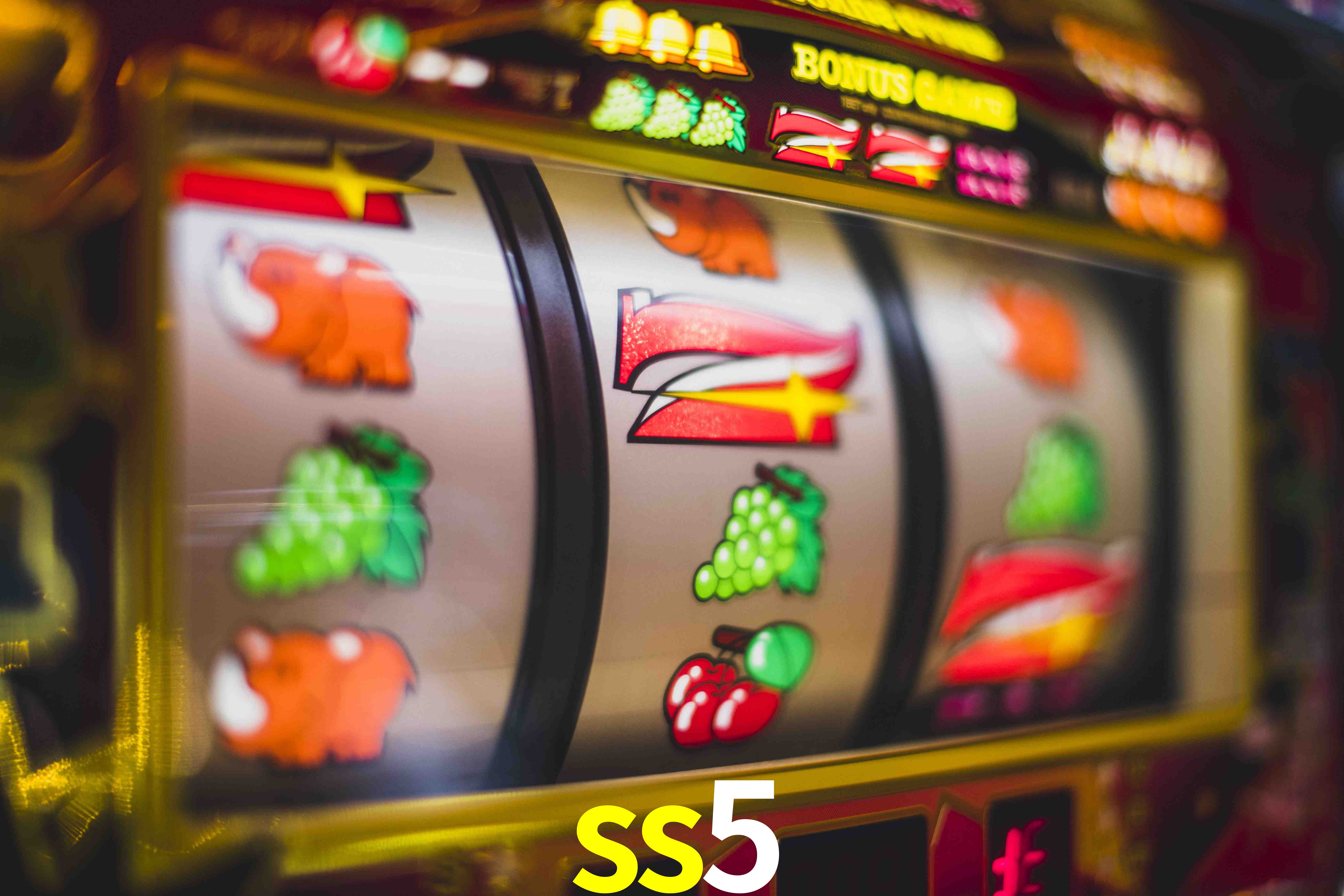 Basketball Betting ss5