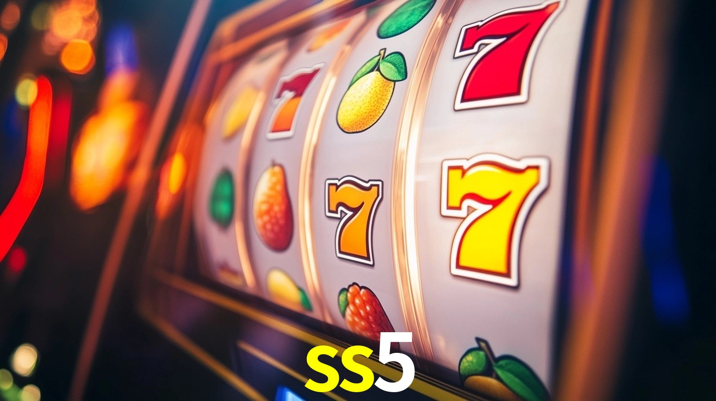 Premium Interface ss5